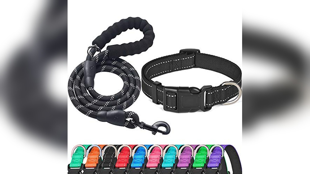 Best Dog Collar And Leash Sets