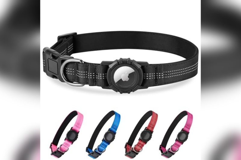 Best Dog Collar For Airtag: Top Picks for Safety & Comfort