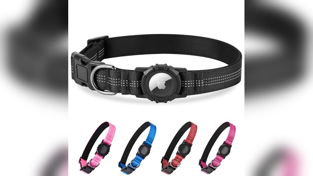 Best Dog Collar For Airtag