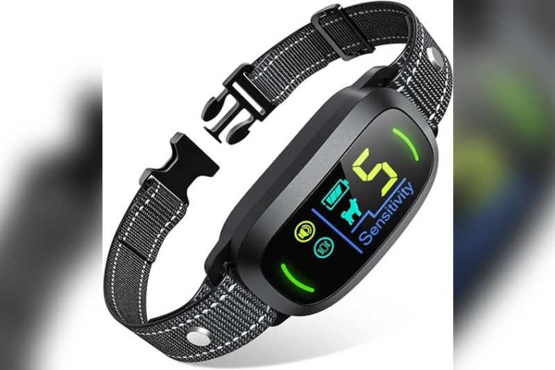 Best Dog Collar For Barking: Top Picks for Effective Control