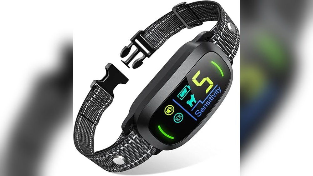 Best Dog Collar For Barking