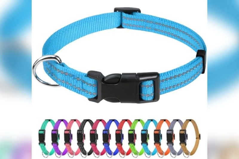 Best Dog Collar For Puppy: Top Picks for Comfort & Safety