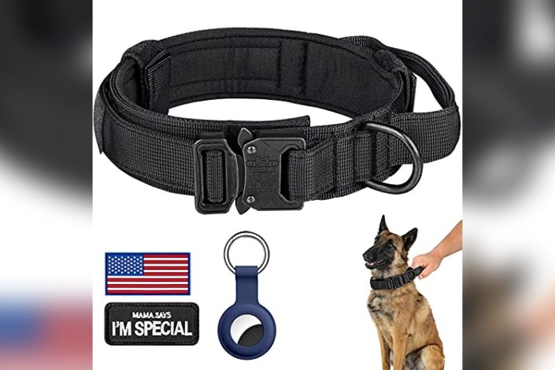 Best Dog Collar For Rottweiler: Top Picks for Safety & Comfort