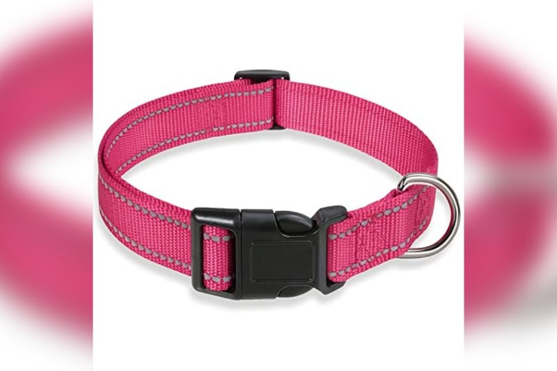 Best Dog Collar For Shih Tzu: Top Picks for Comfort & Style