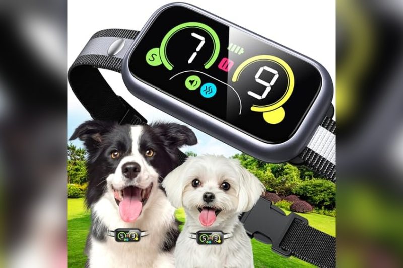Best Dog Collar For Whining: Top Picks to Stop Barking