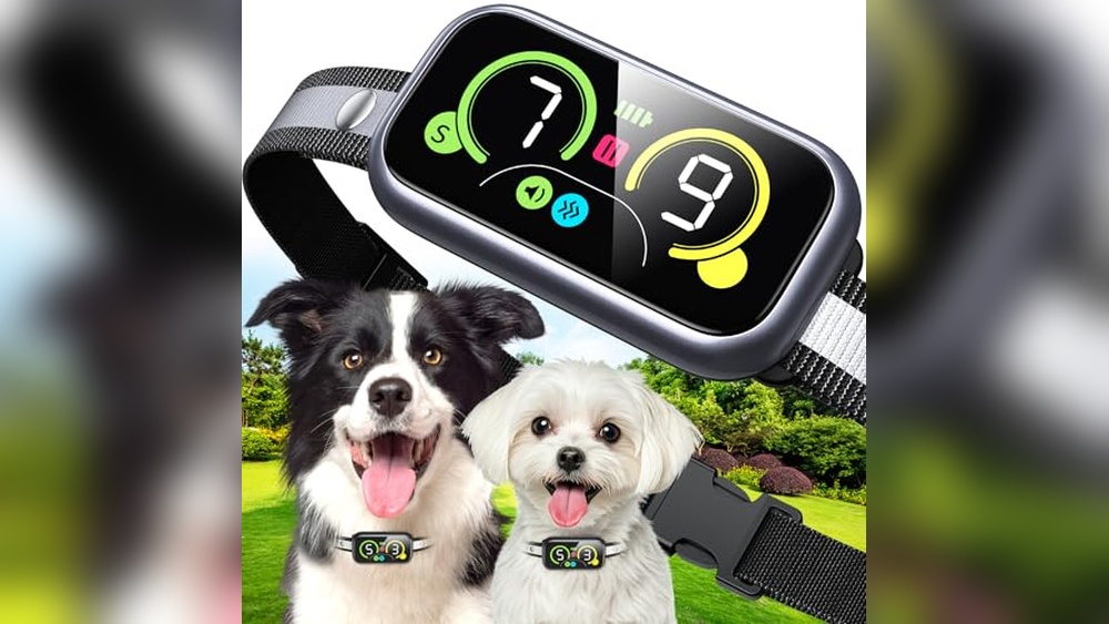Best Dog Collar For Whining