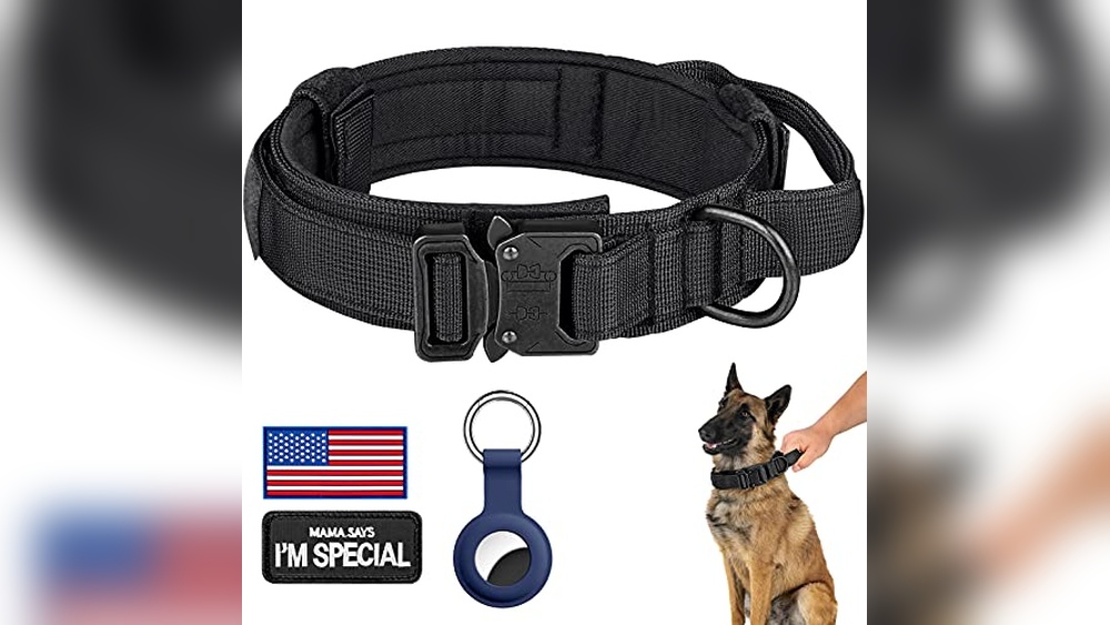 Best Dog Collar With Handle