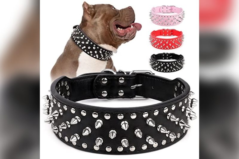 Best Dog Collars For Bulldogs: Top Picks for Comfort & Durability