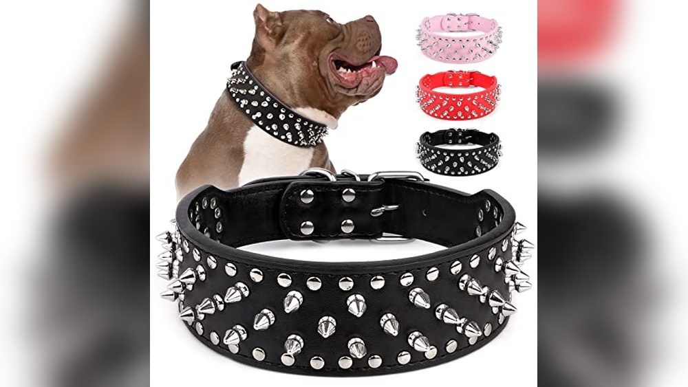Best Dog Collars For Bulldogs