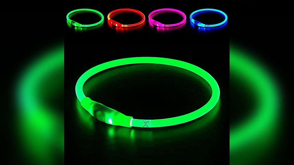 Best Dog Collars For Night Time