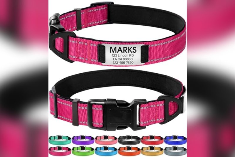 Best Dog Collars With Name Plates: Top Picks for 2024