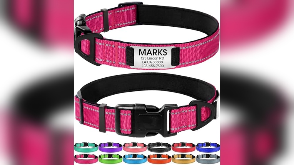Best Dog Collars With Name Plates