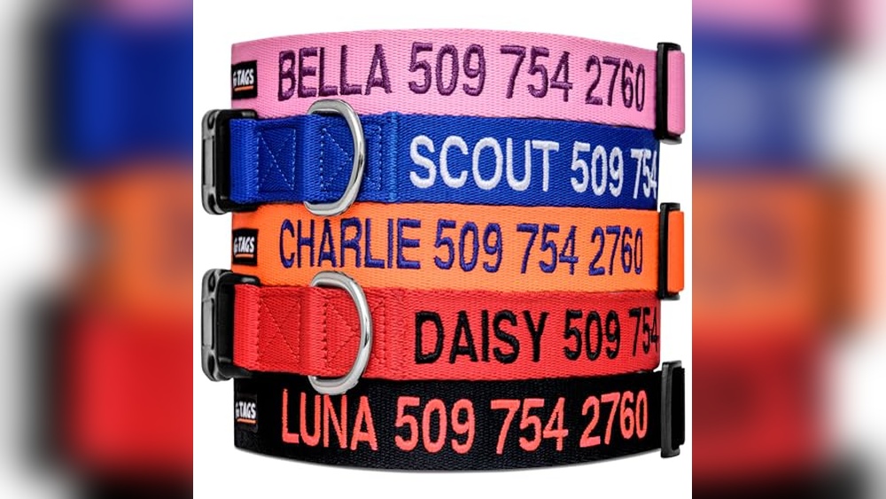 Best Dog Collars With Name