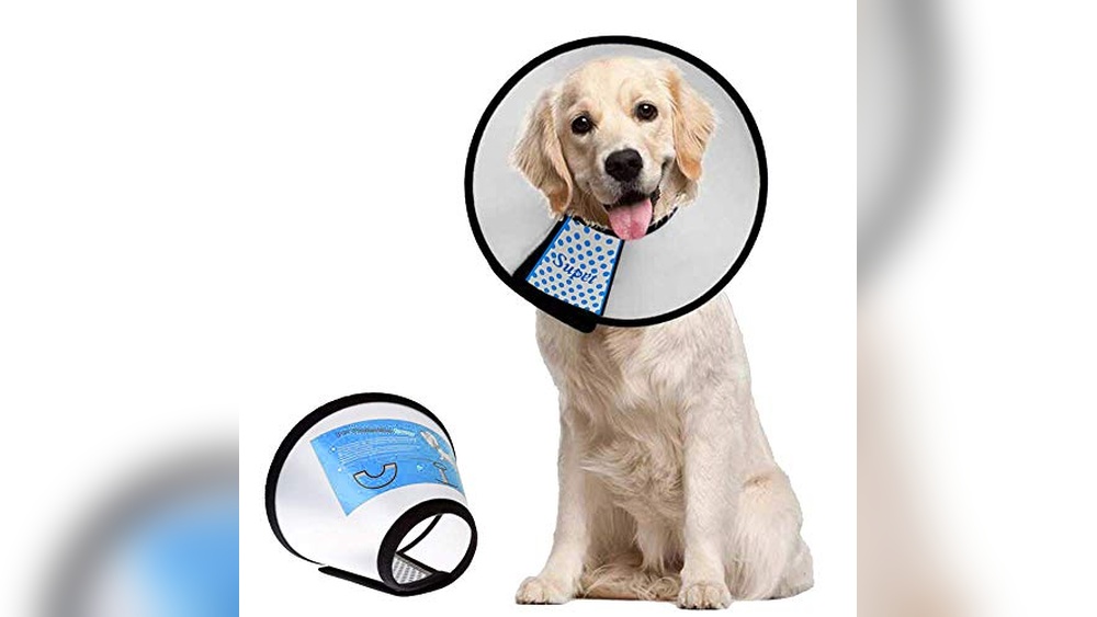 Best Dog Cone Collar