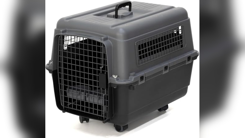 Best Dog Crate For Air Travel