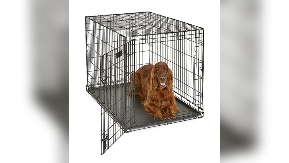 Best Dog Crate For Australian Shepherd
