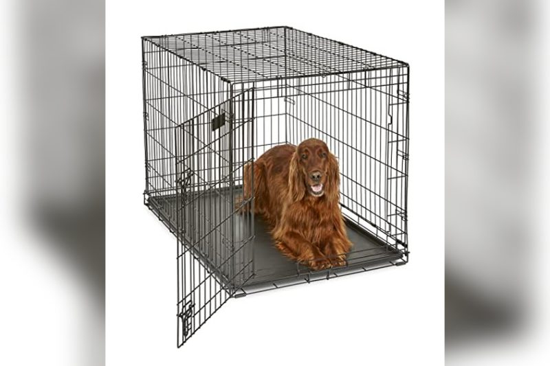 Best Dog Crate For Belgian Malinois: Top Picks & Buying Guide