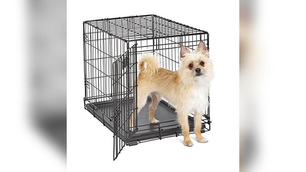Best Dog Crate For Boston Terrier