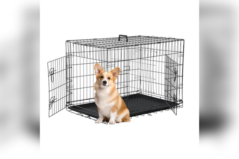Best Dog Crate For Corgi: Top Picks for Comfort & Safety