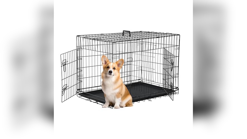 Best Dog Crate For Corgi