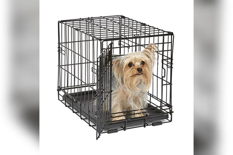 Best Dog Crate For Dachshund: Top Picks & Honest Reviews