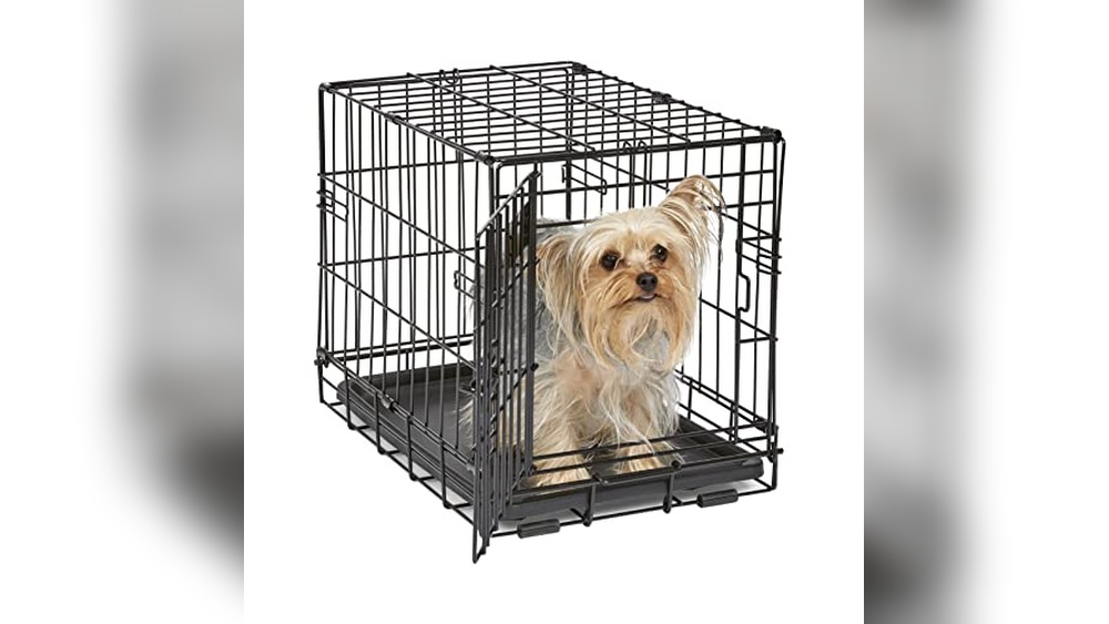 Best Dog Crate For Dachshund