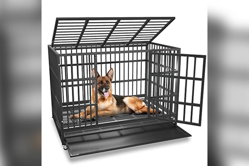 Best Dog Crate For Escape Artist: Top Safe & Secure Picks