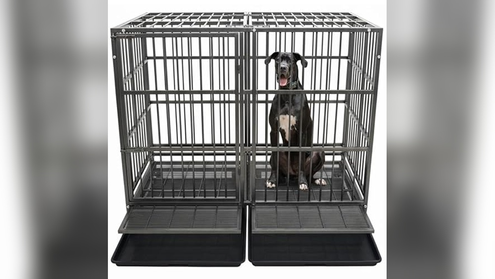 Best Dog Crate For Great Dane