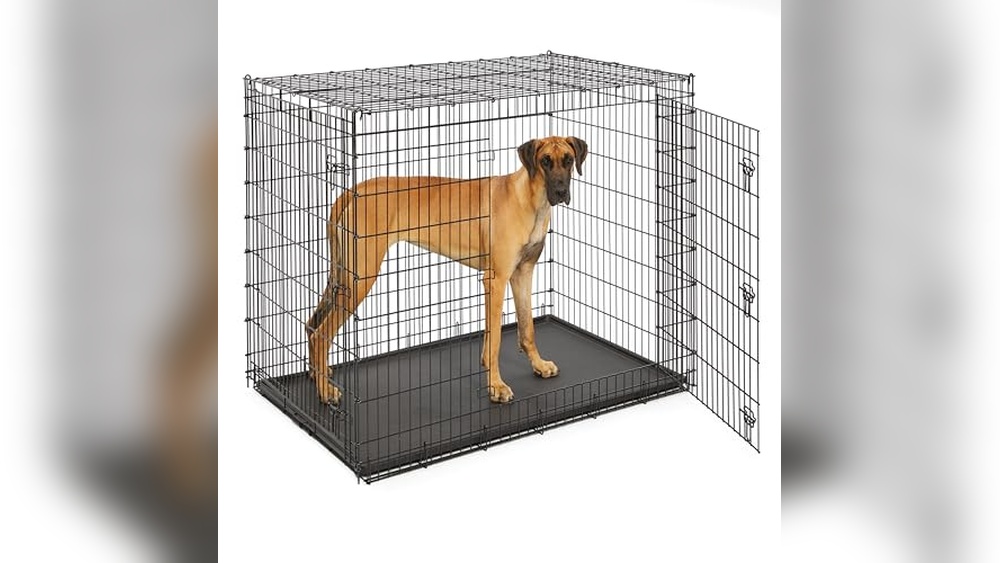 Best Dog Crate For Mastiff