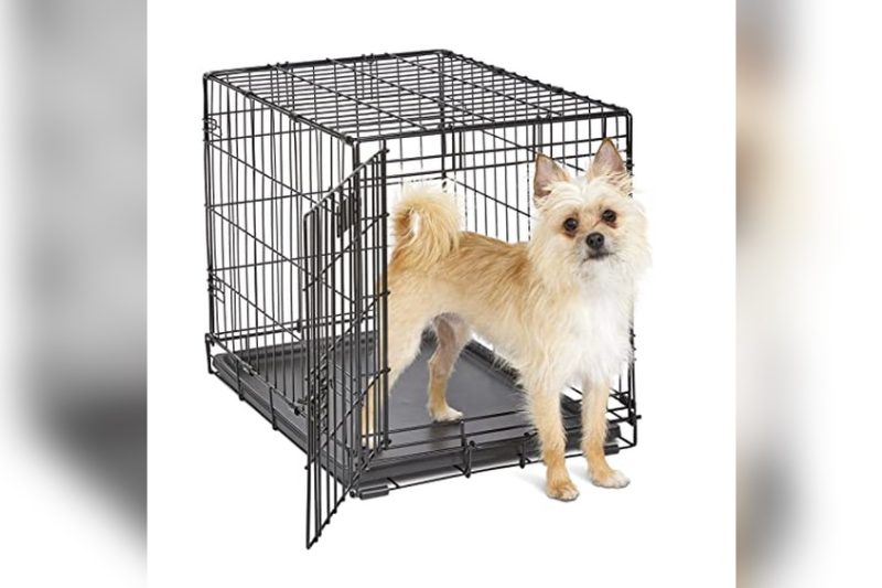 Best Dog Crate For Sleeping: Top Picks for Cozy Comfort