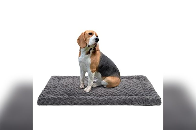 Best Dog Crate Mats And Pads for Comfort & Durability 2024