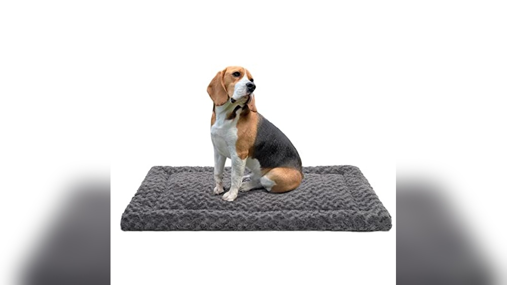 Best Dog Crate Mats And Pads
