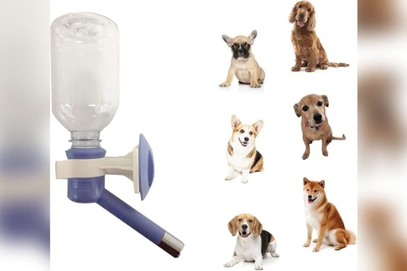 Best Dog Crate Water Bottle: Top Picks for Hydrated Pets