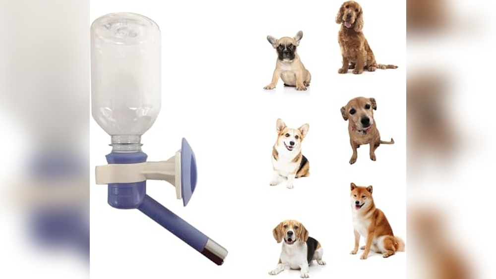 Best Dog Crate Water Bottle