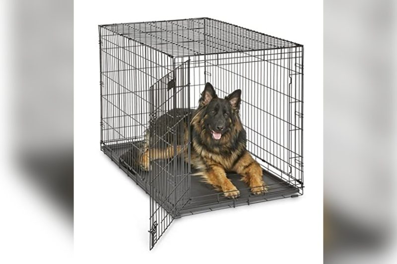 Best Dog Crates For German Shepherds: Top Picks & Reviews 2024