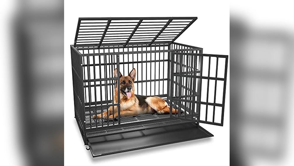 Best Dog Crates For Large Dogs With Separation Anxiety