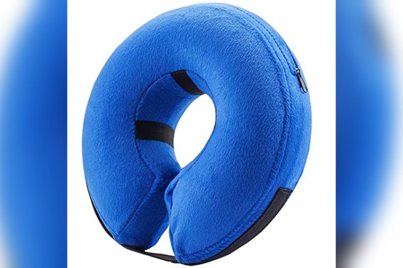 Best Dog Donut Collar Reviews: Top Picks for Comfort & Safety
