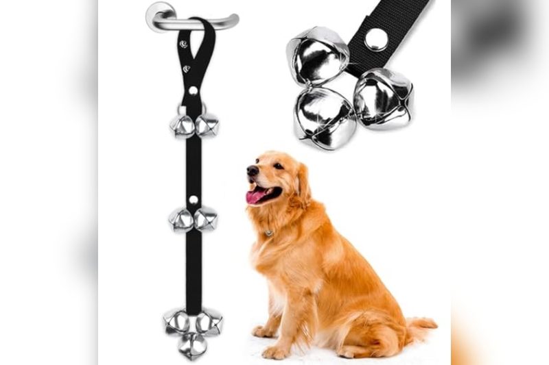 Best Dog Door Bell Reviews: Top Picks for Easy Training
