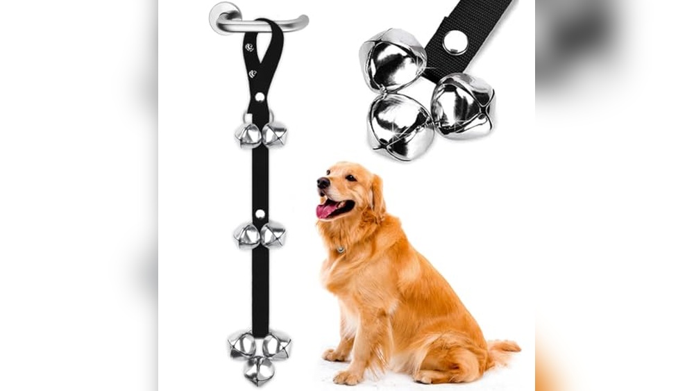 Best Dog Door Bell