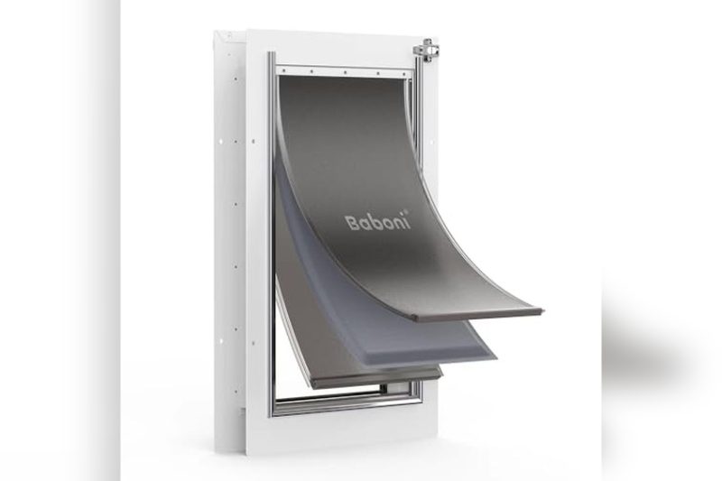 Best Dog Door For Labrador: Top Picks for Easy Outdoor Access