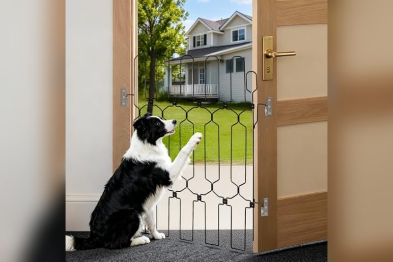 Best Dog Gate For Front Door: Top Safe & Sturdy Picks 2024