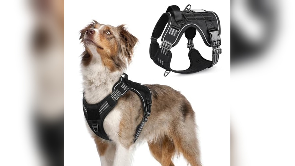 Best Dog Harness For Australian Shepherd
