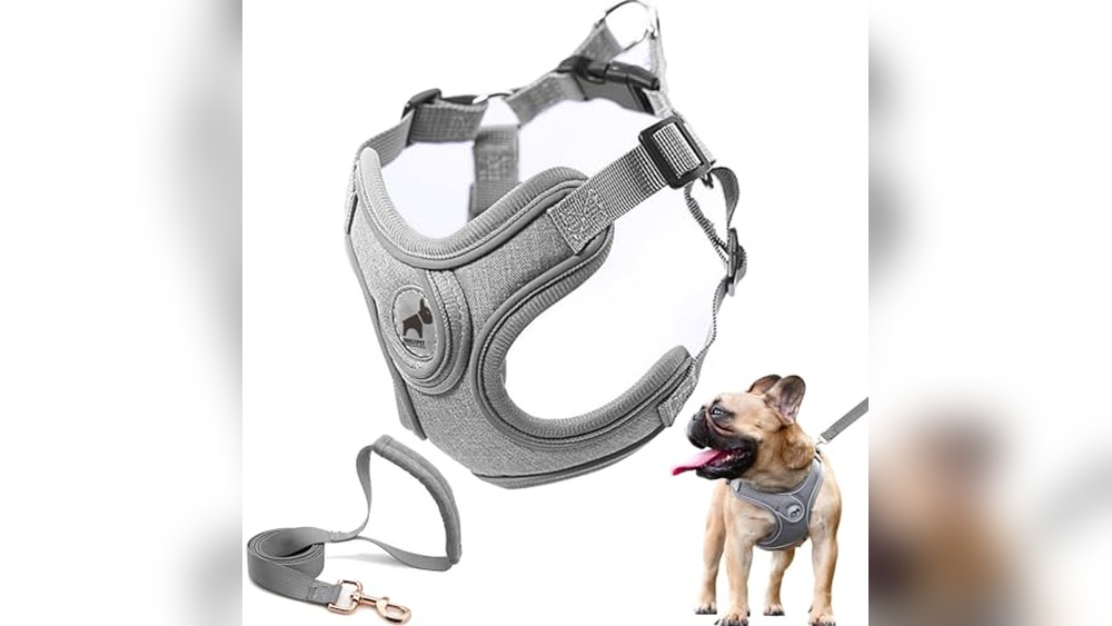 Best Dog Harness For Frenchies