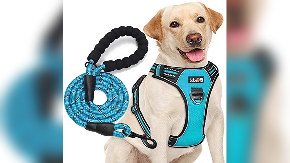 Best Dog Harness For Golden Retriever Puppy