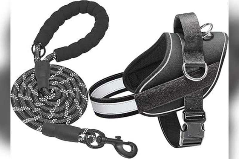 Best Dog Harness For Pulling Sled: Top Picks & Honest Reviews