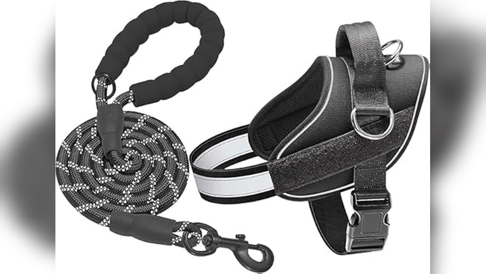 Best Dog Harness For Pulling Sled