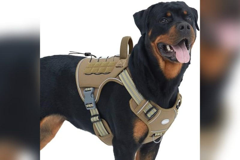 Best Dog Harness For Strong Pullers: Top Picks & Honest Reviews