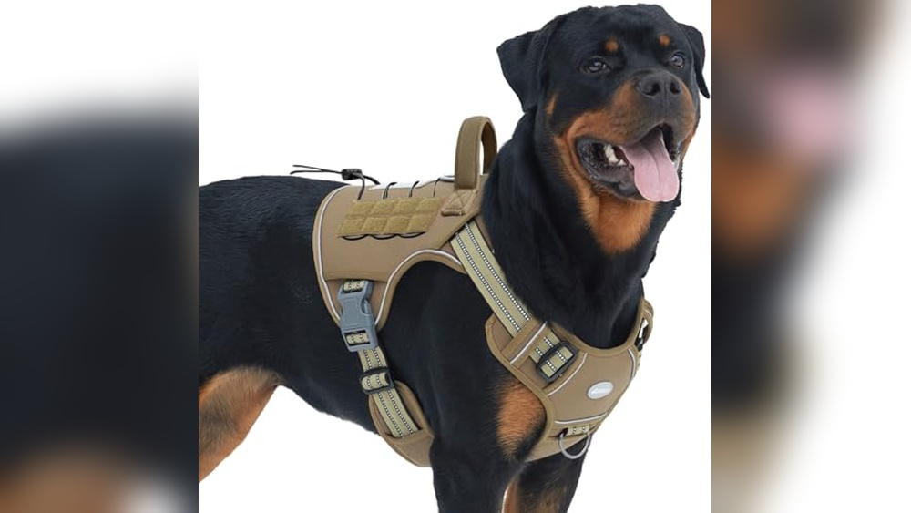 Best Dog Harness For Strong Pullers