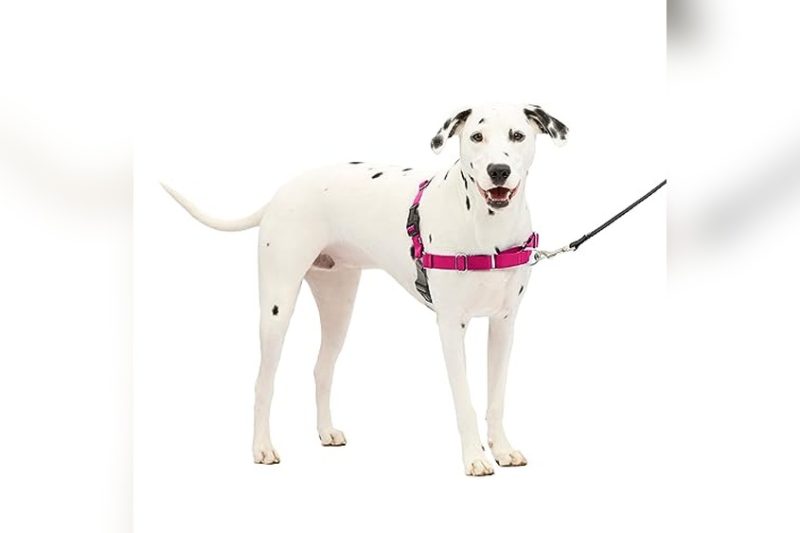 Best Dog Harness For Strong Pullers: Top Picks & Reviews 2024