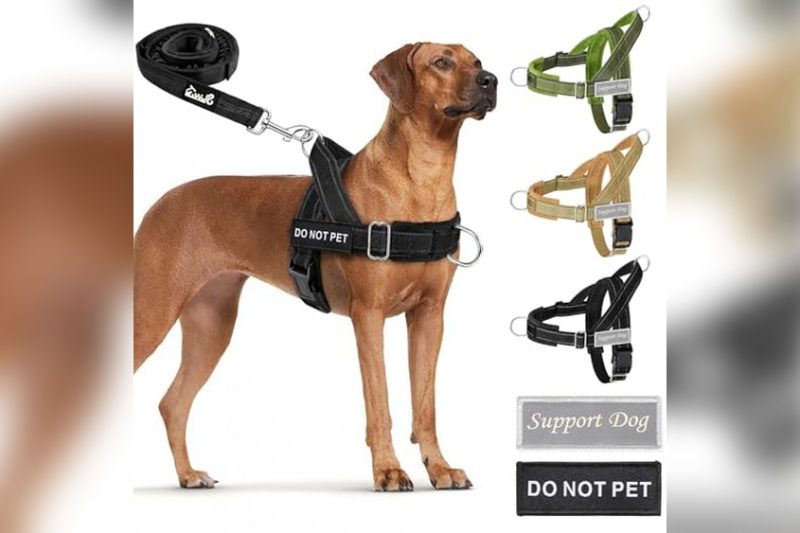 Best Dog Harness No Chafing: Top Comfortable Picks Reviewed